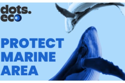 PROTÉGER LA ZONE MARINE BE