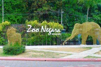 Zoo Negara MYR