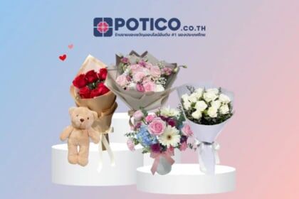Potico THB
