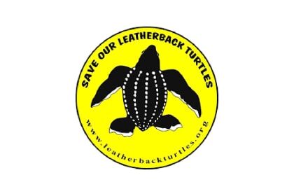 Save a sea-turtle hatchling US