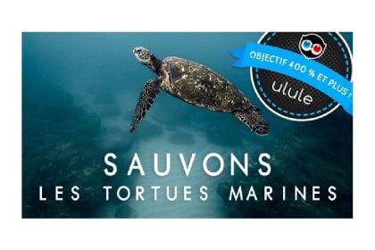 Sauver les tortues de mer à l’éclosion FR